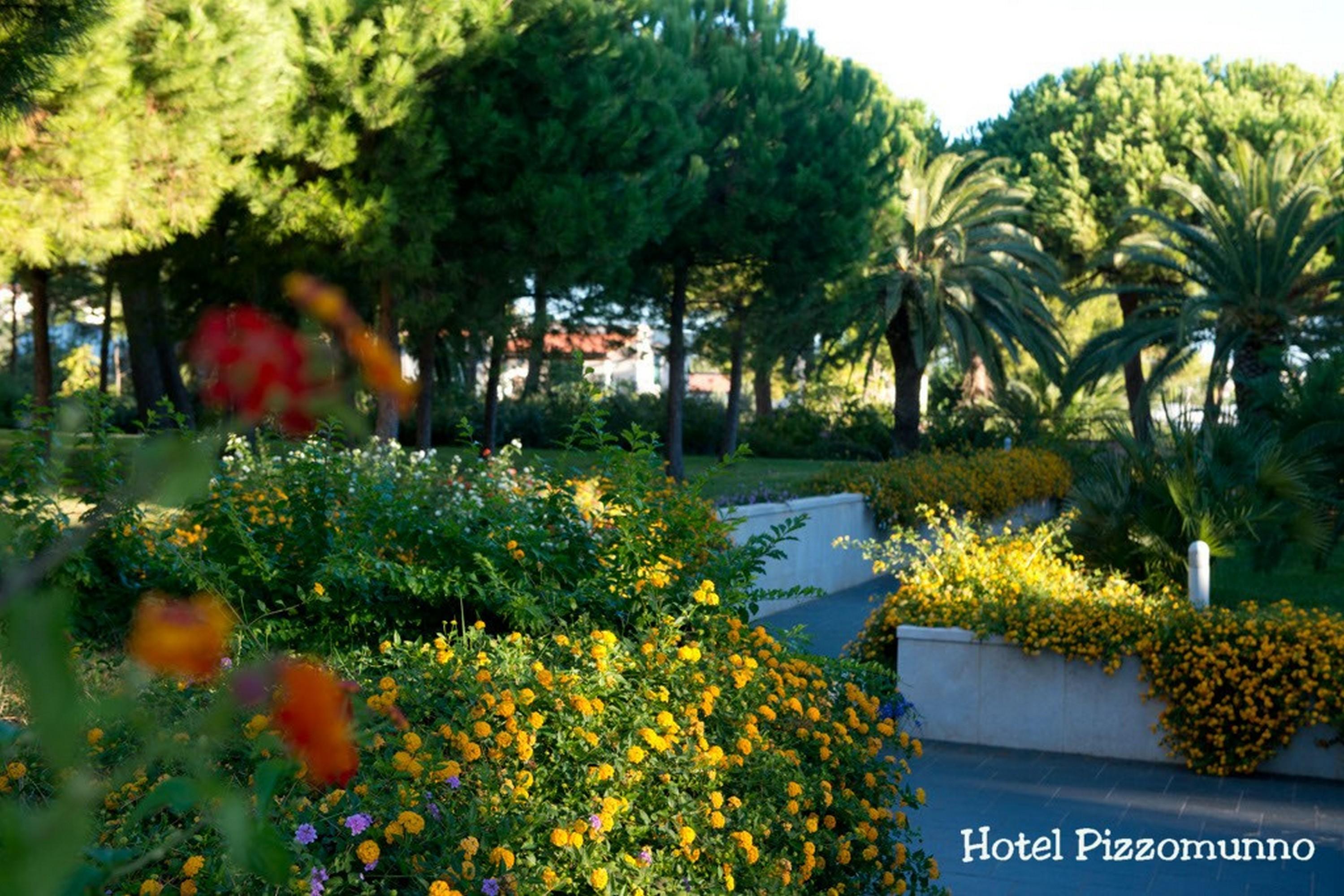 Pizzomunno Vieste Palace Hotel Exterior photo